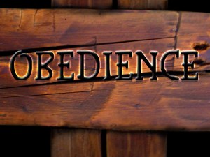 cross obedience